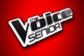 LIVE Seratissima 9 ottobre 2026: 1° puntata per The Voice Senior su Rai1 vs l'8 puntata di Gfvip 9 su Canale5